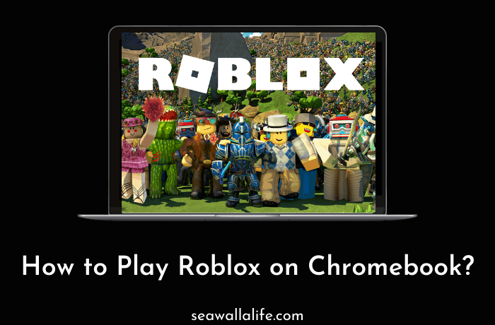 How To Play Roblox On Chromebook?